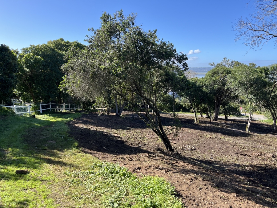 0 Bedroom Property for Sale in Belvidere Estate Western Cape